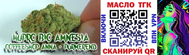 ТГК гашишное масло Купить где Новый Оскол